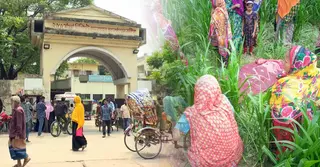 কুষ্টিয়ায় ভুট্টাক্ষেত থেকে নারীর মরদেহ উদ্ধার